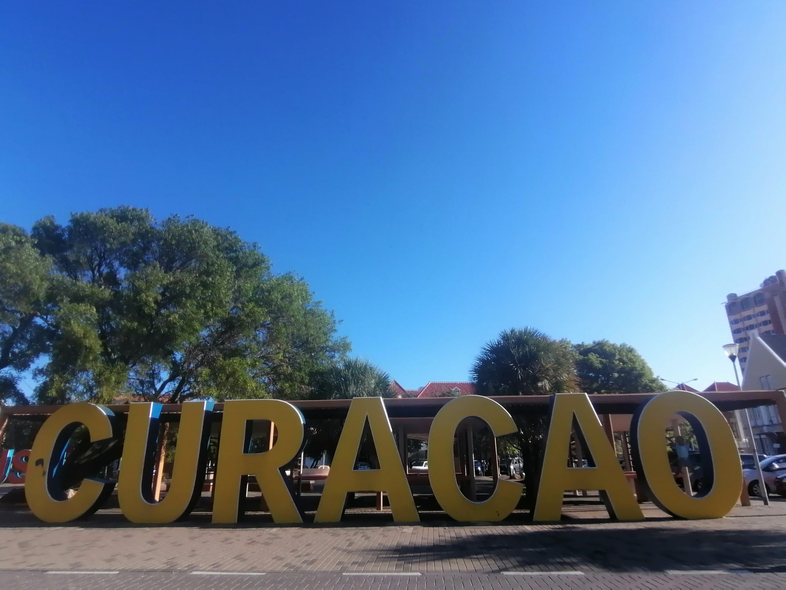 IMG_20220811_171250 (1)